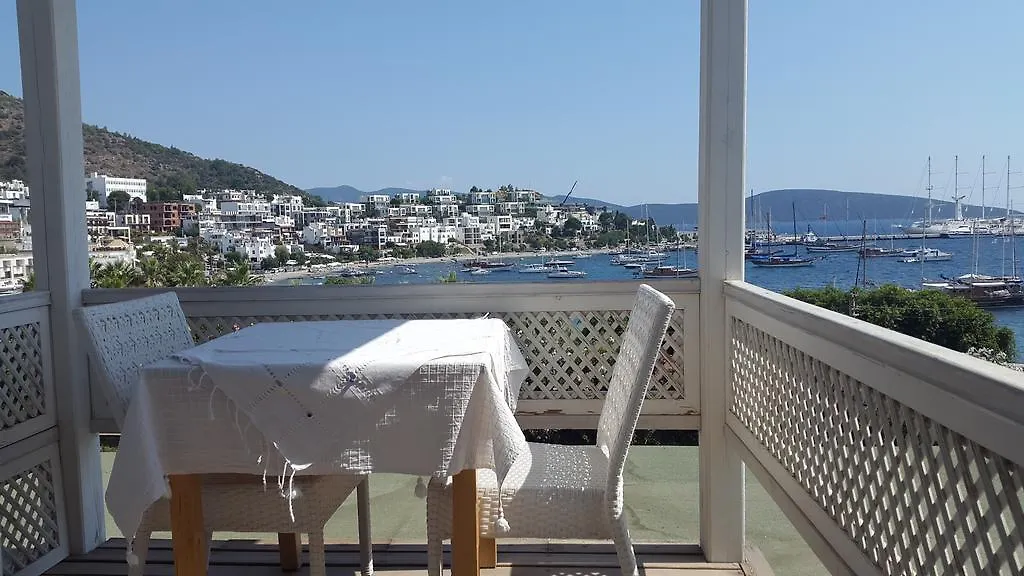 Pasha Motel Αλικαρνασσός 2*,