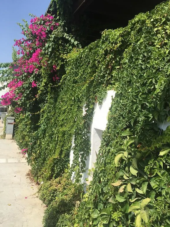 Pasha Motel Αλικαρνασσός Bed and Breakfast