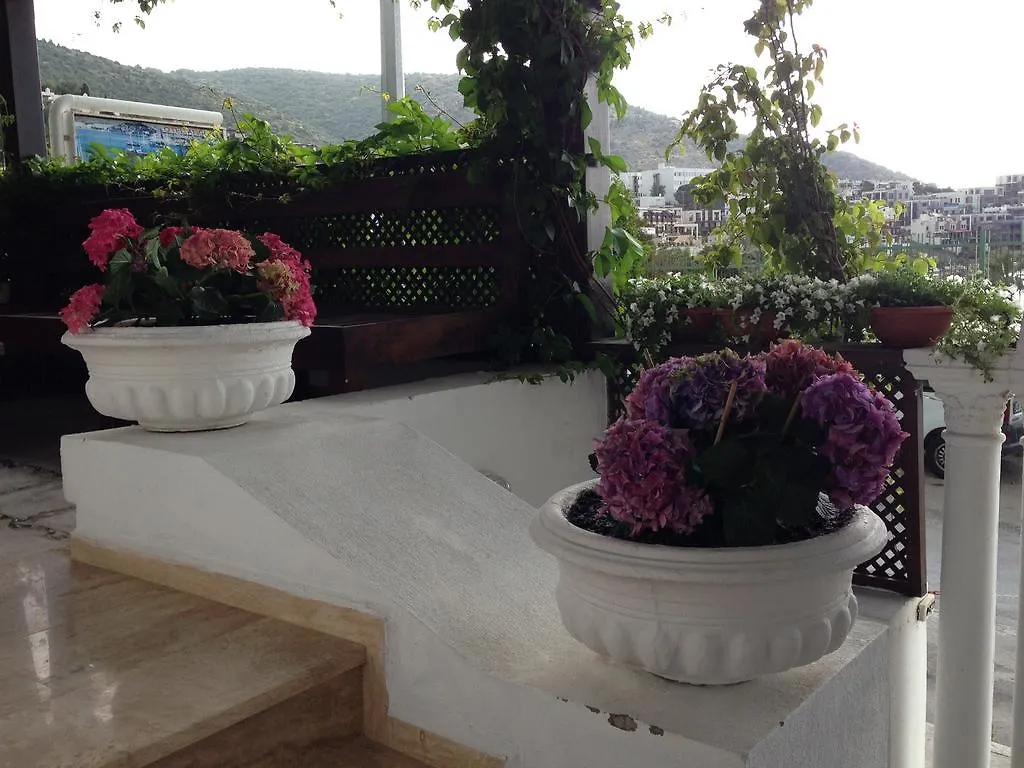 Pasha Motel Αλικαρνασσός 2*,  Τουρκία